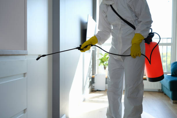 Best Commercial Mold Removal  in Washington Mills, NY